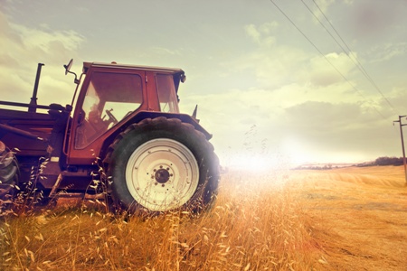 Non-Genetically Engineered Crops May be Vulnerable to Contamination